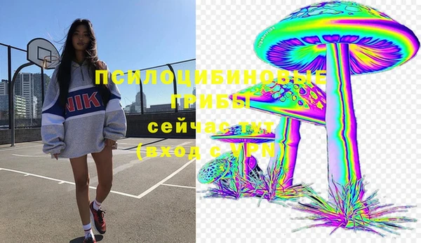 мдпв Надым