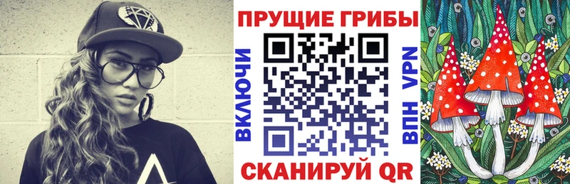 даркнет сайт  Березники  Галлюциногенные грибы Psilocybe 