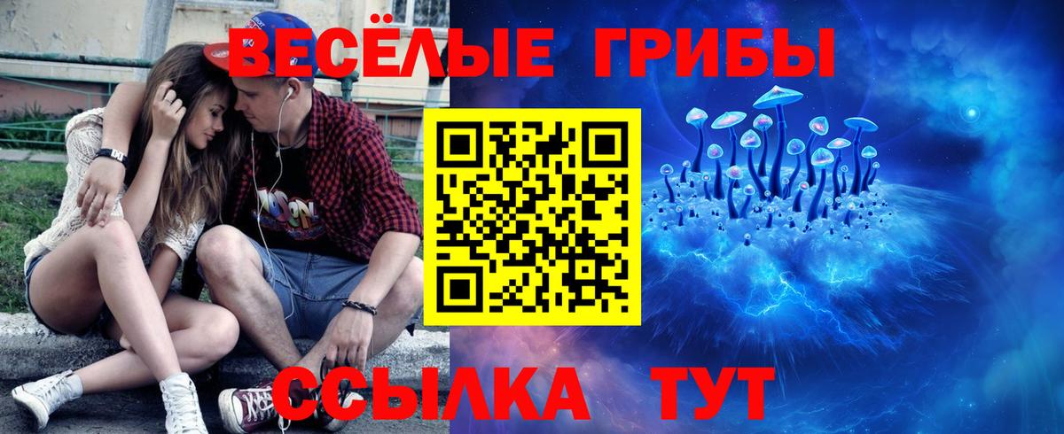 Псилоцибиновые грибы мухоморы  купить закладку  Березники  Галлюциногенные грибы Cubensis 