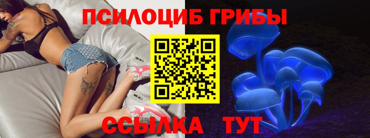 Псилоцибиновые грибы MAGIC MUSHROOMS Березники