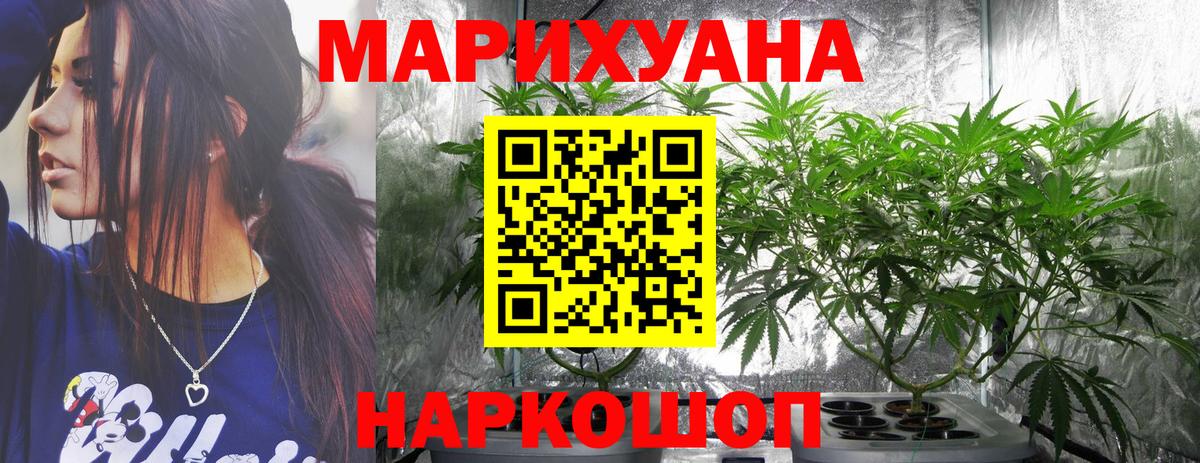 Каннабис семена  Конопля сатива  Березники  Конопля MAZAR  Шишки марихуана THC 21% 